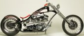 2011 Covingtons 300R photo